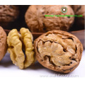 Factory price sale shelled walnut halves light color